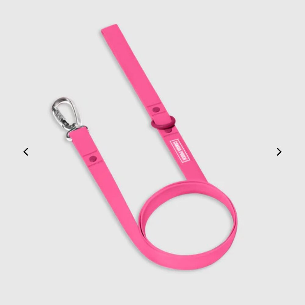 NWT, Canada Pooch Waterproof Dog Leash with Carabiner, Pink - Size L/XL